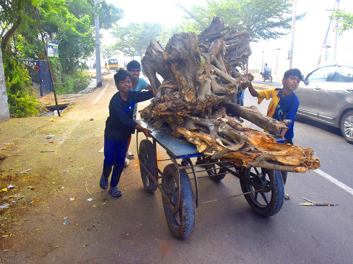 Best Photos of The Week in AP and Telangana Photo Gallery - Sakshi35