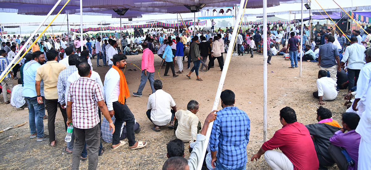 sankranti celebration 2024 - Sakshi17