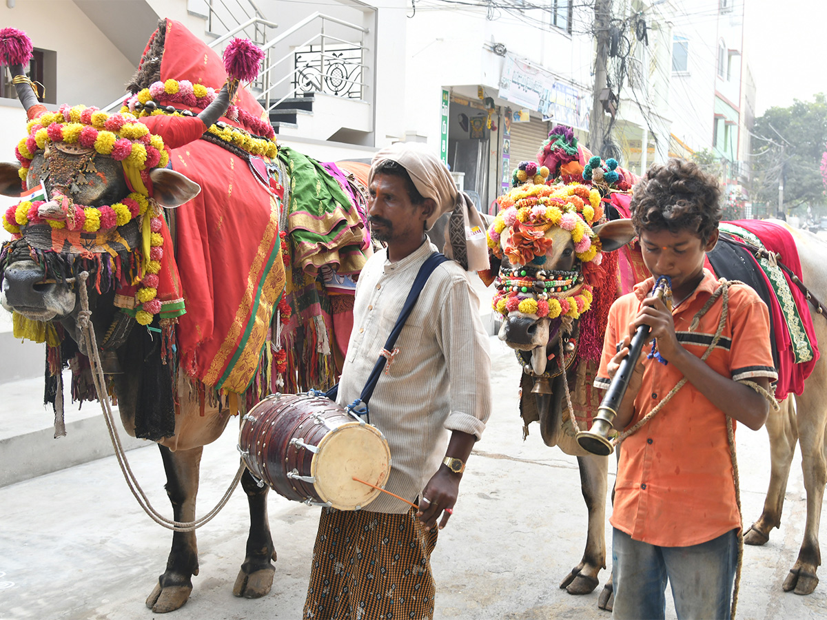 sankranti celebration 2024 - Sakshi29