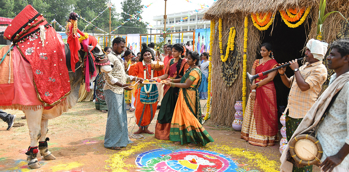 sankranti celebration 2024 - Sakshi30