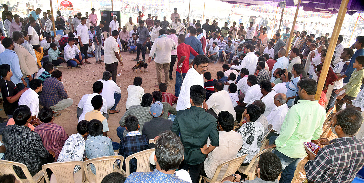 sankranti celebration 2024 - Sakshi33