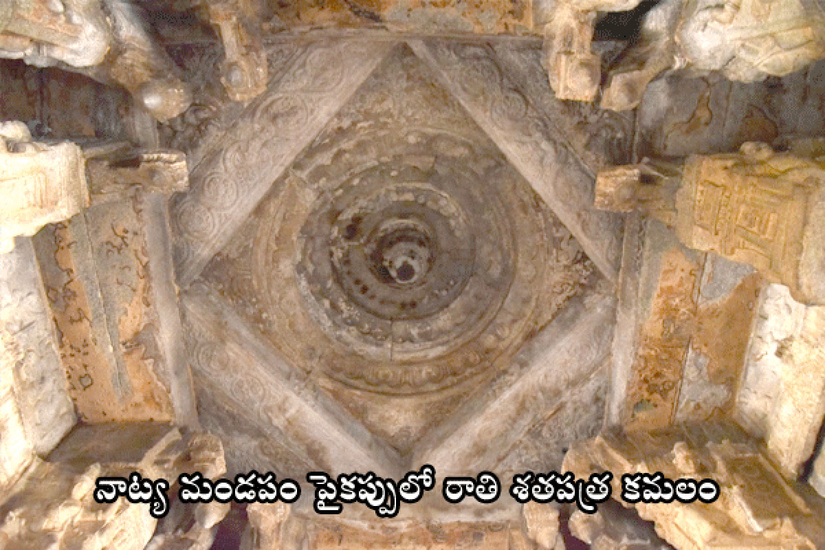 Special Photos Of Veerabhadra Swamy Temple - Sakshi16