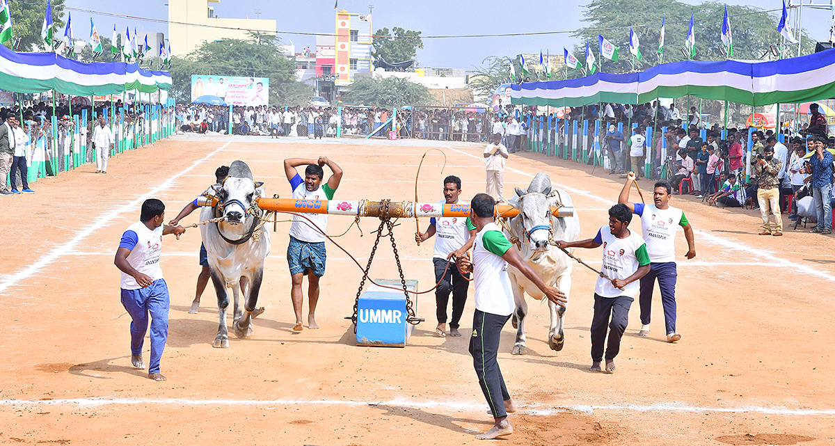 bull race in anantapur district - Sakshi10