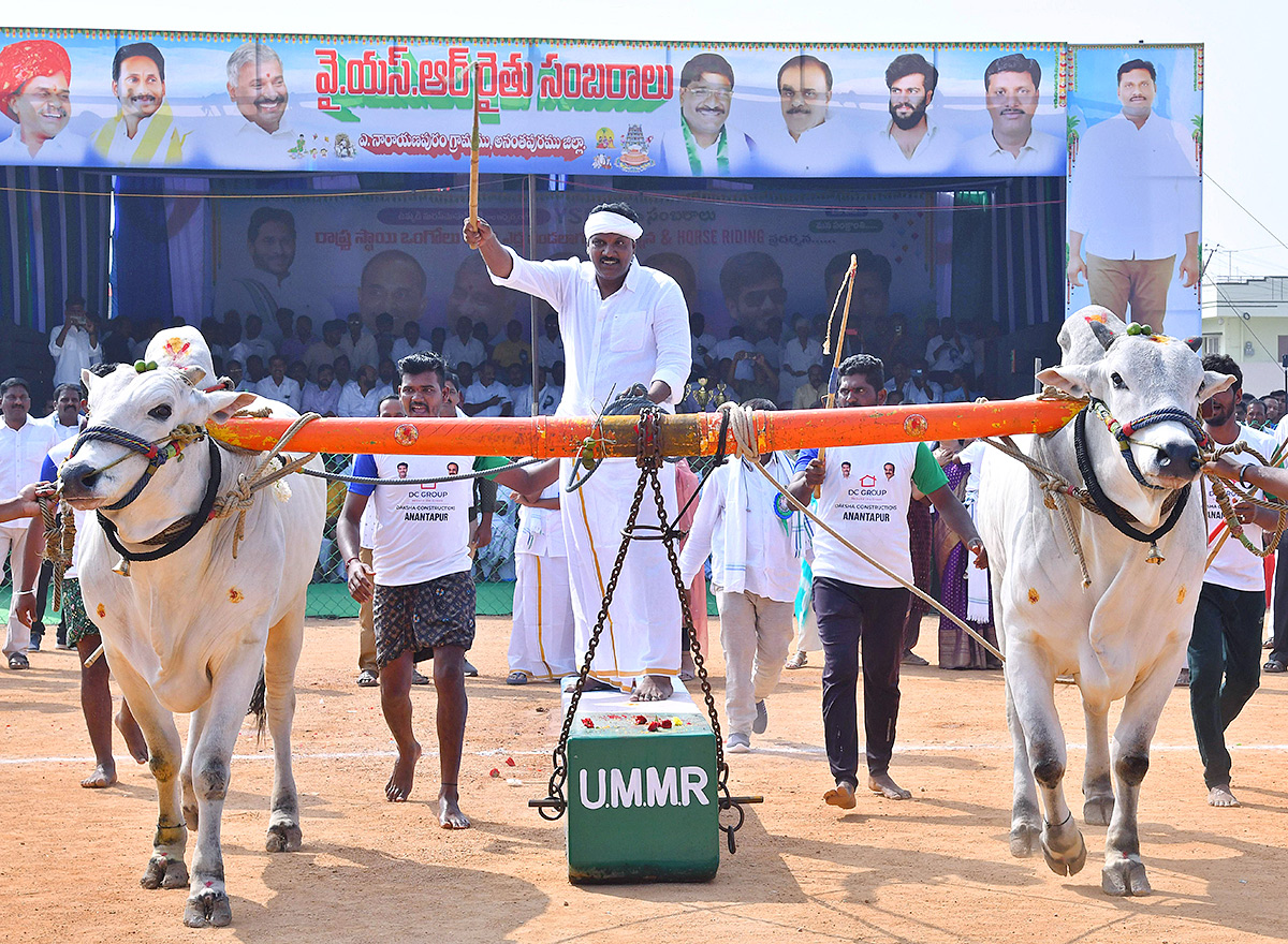 bull race in anantapur district - Sakshi12