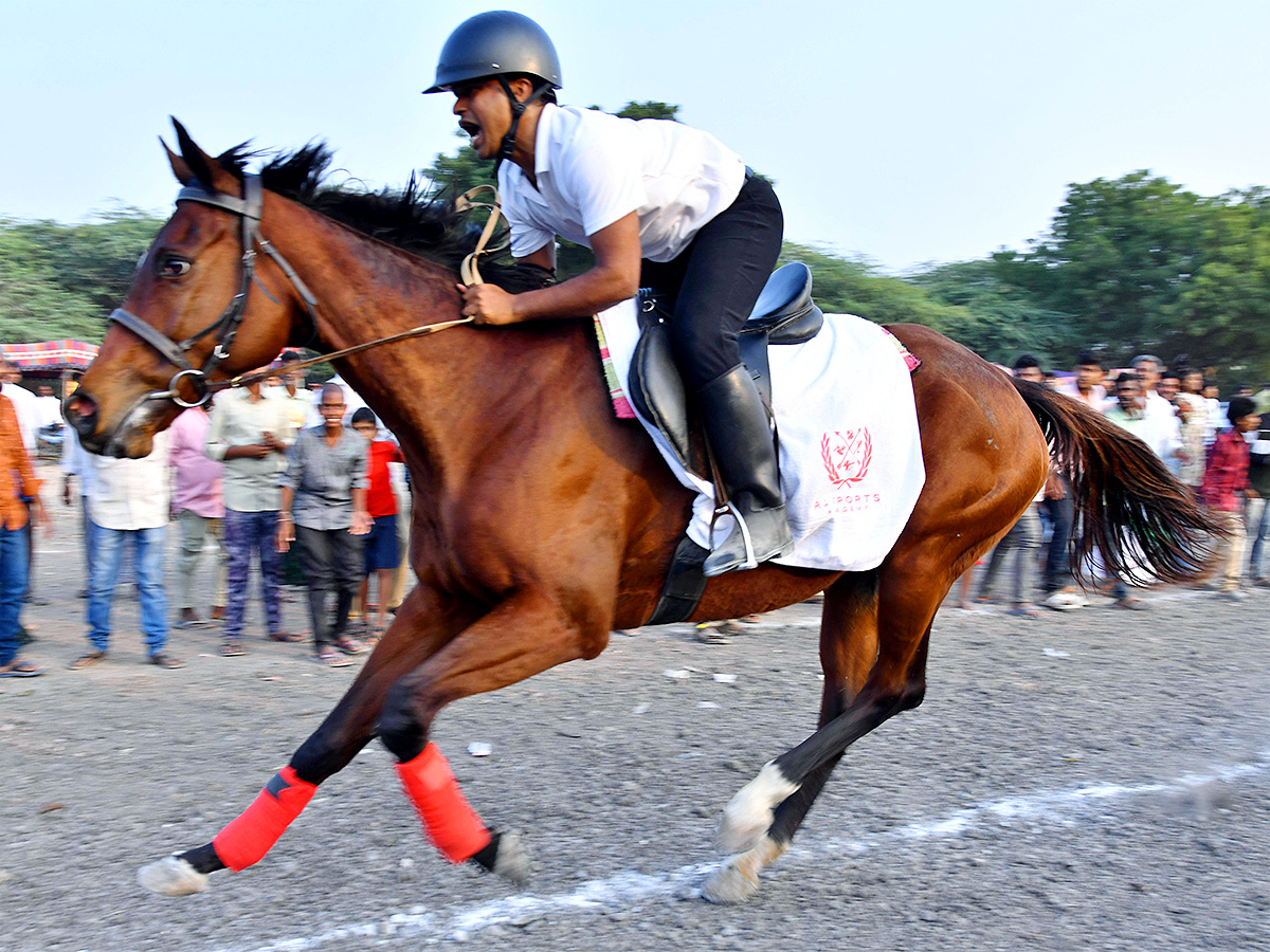 bull race in anantapur district - Sakshi13