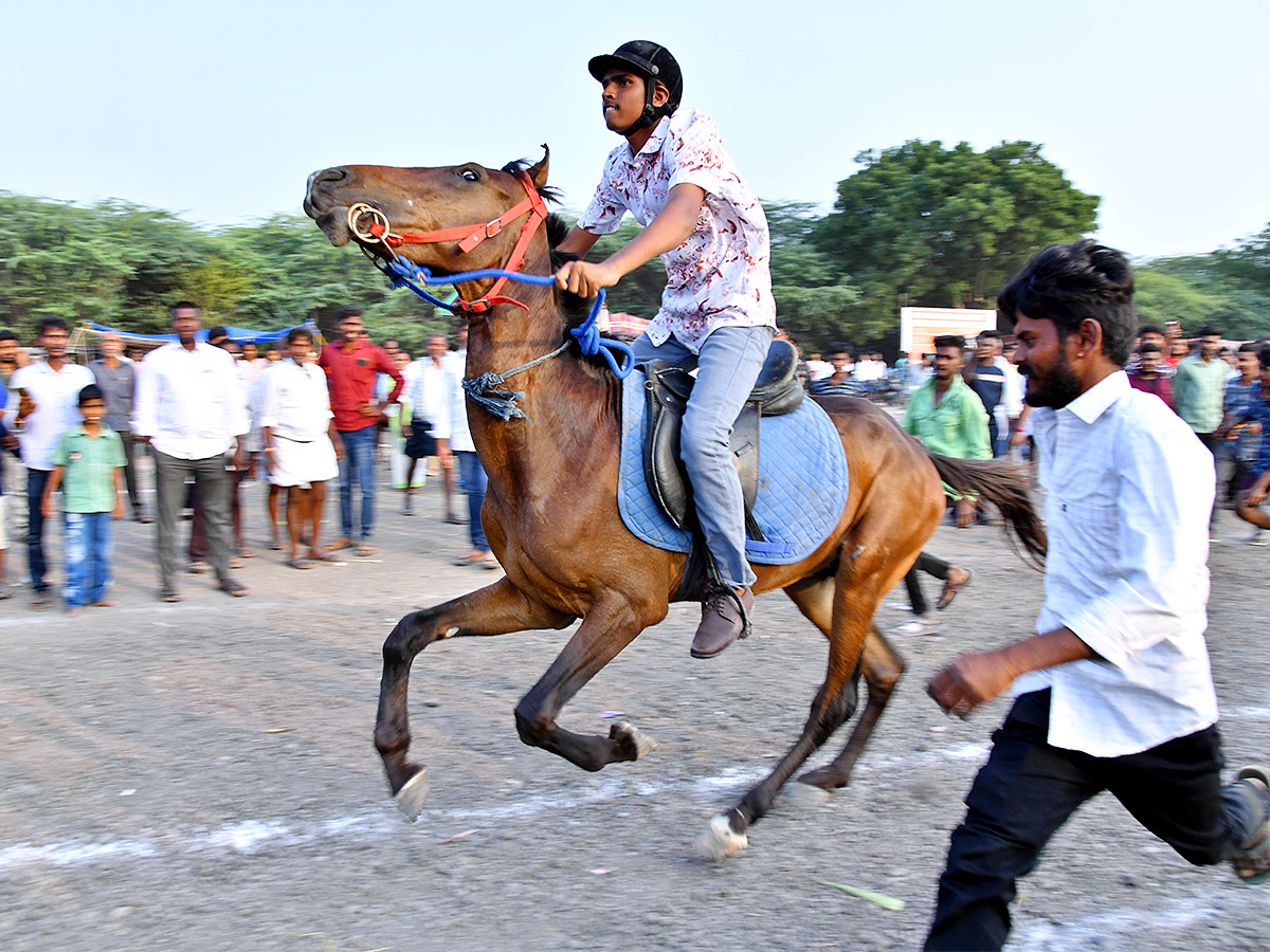 bull race in anantapur district - Sakshi14