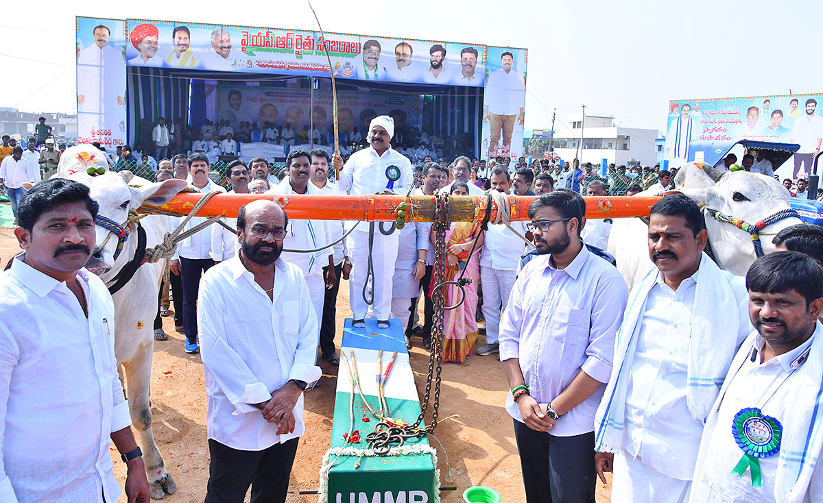 bull race in anantapur district - Sakshi16