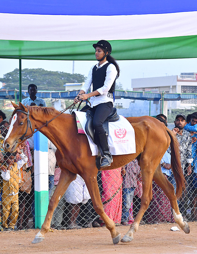 bull race in anantapur district - Sakshi19