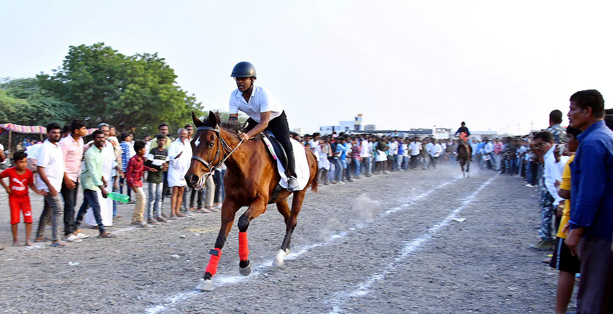 bull race in anantapur district - Sakshi20