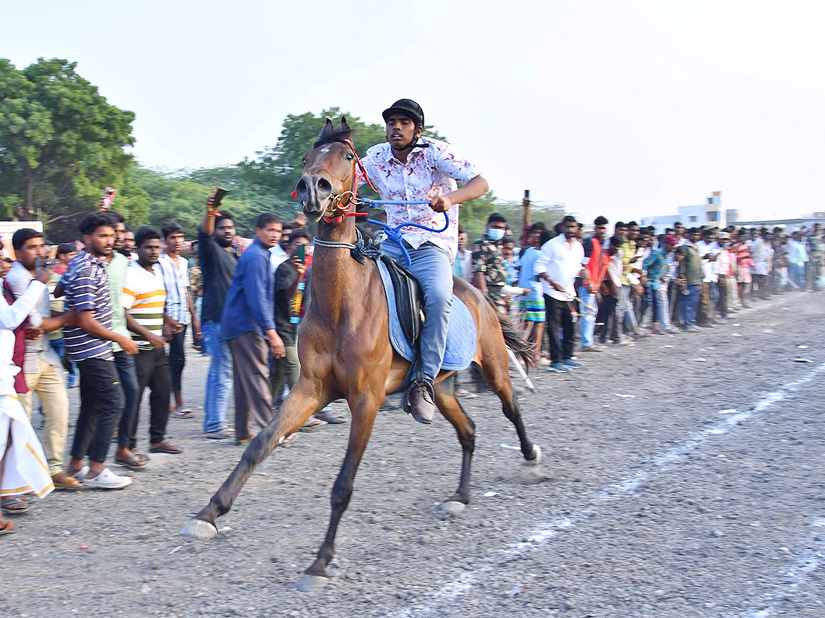 bull race in anantapur district - Sakshi25