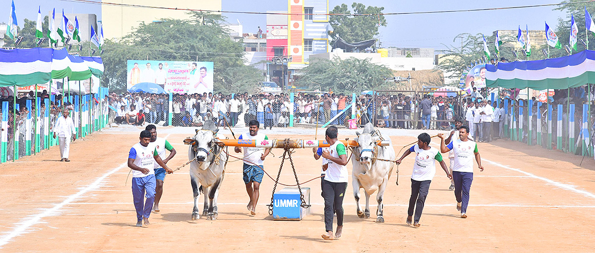 bull race in anantapur district - Sakshi29