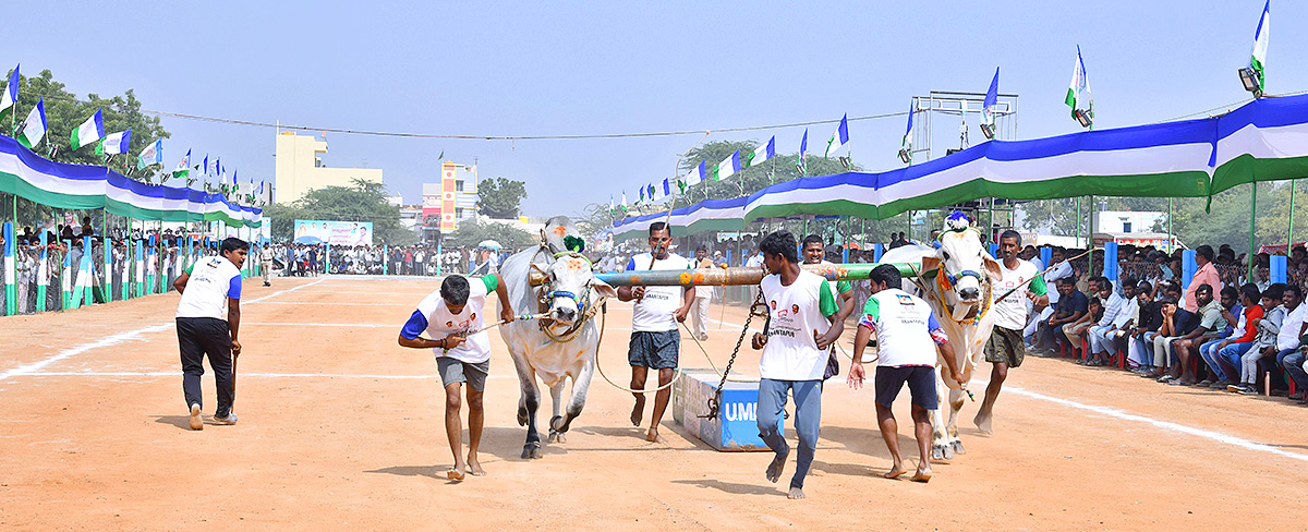 bull race in anantapur district - Sakshi30