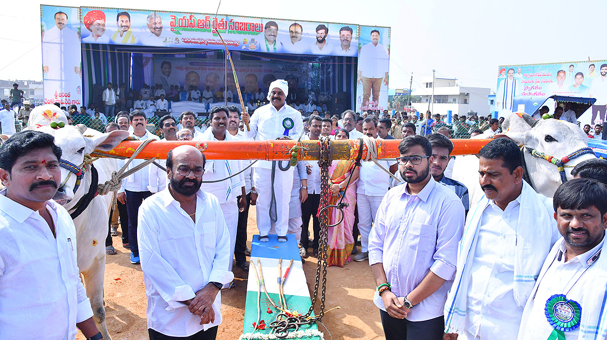 bull race in anantapur district - Sakshi33