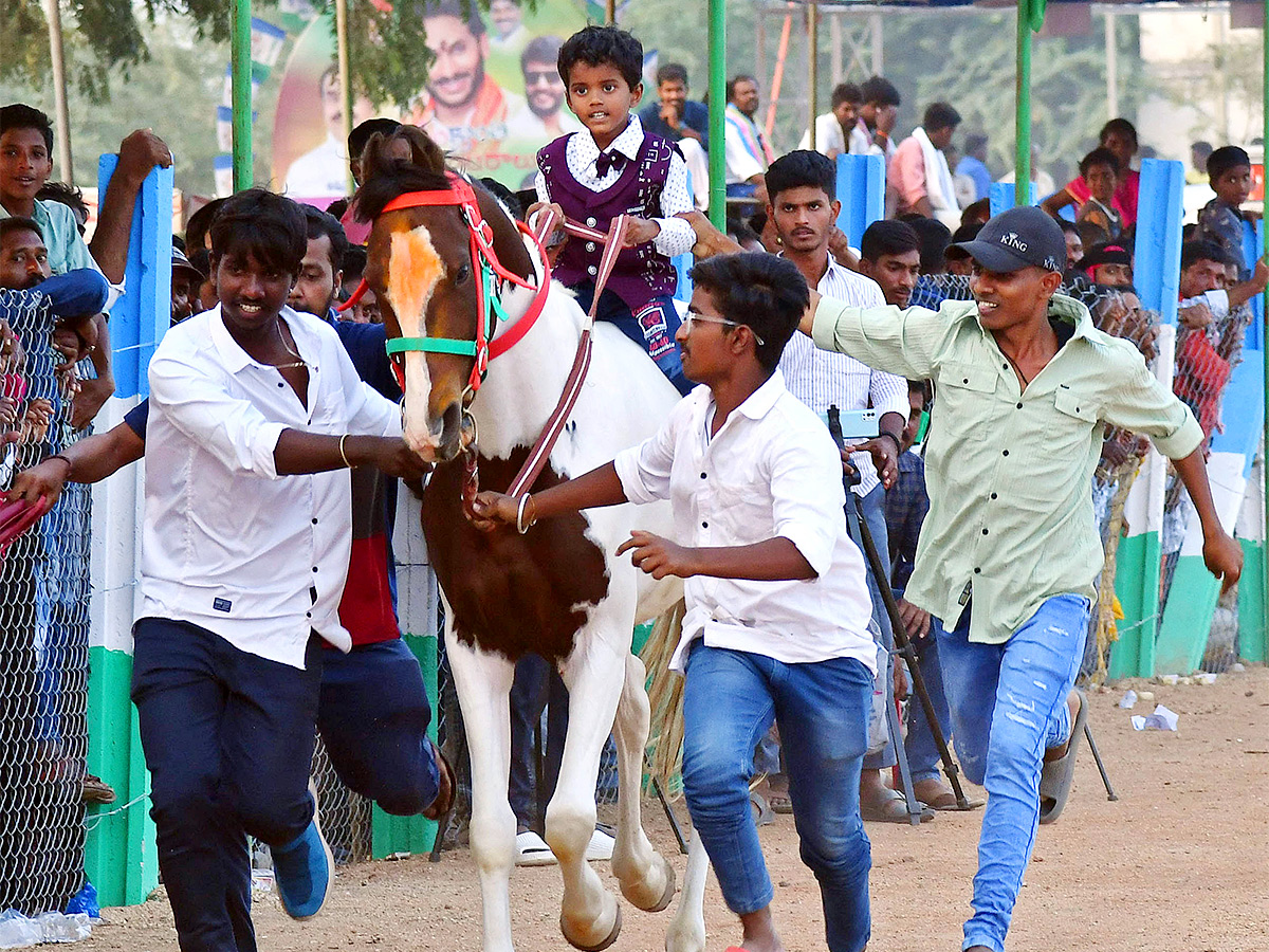 bull race in anantapur district - Sakshi4