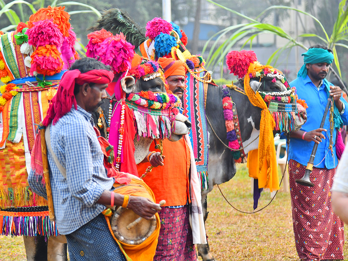 sankranti celebration 2024 - Sakshi9