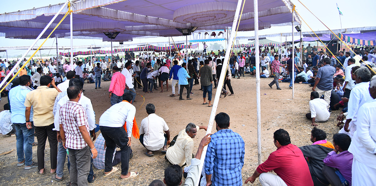 sankranti celebration 2024 - Sakshi10