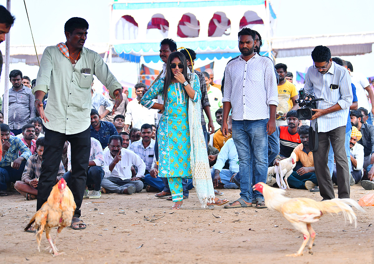 sankranti celebration 2024 - Sakshi2