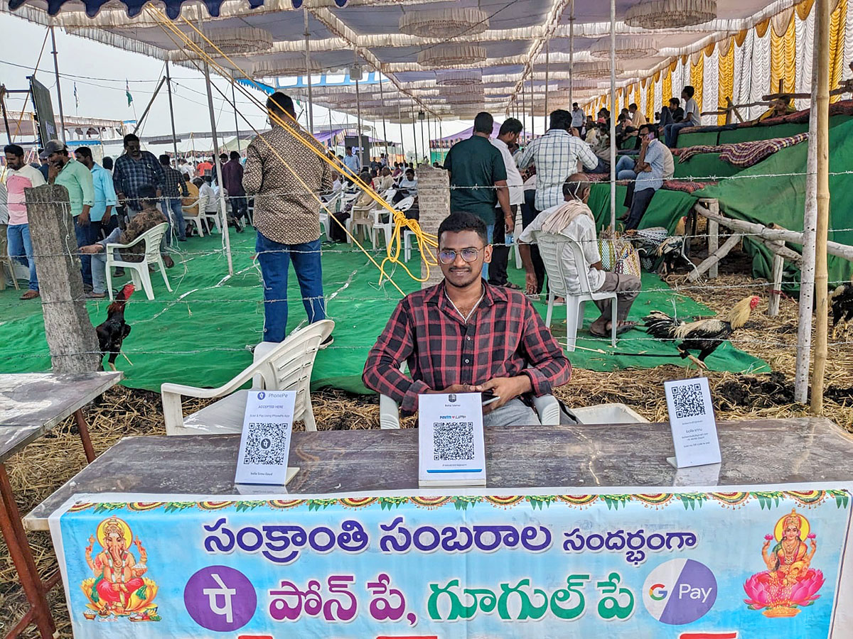 Sankranti kodi pandalu In AP - Sakshi13