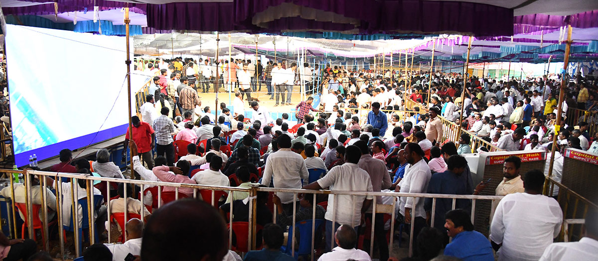 Sankranti kodi pandalu In AP - Sakshi15