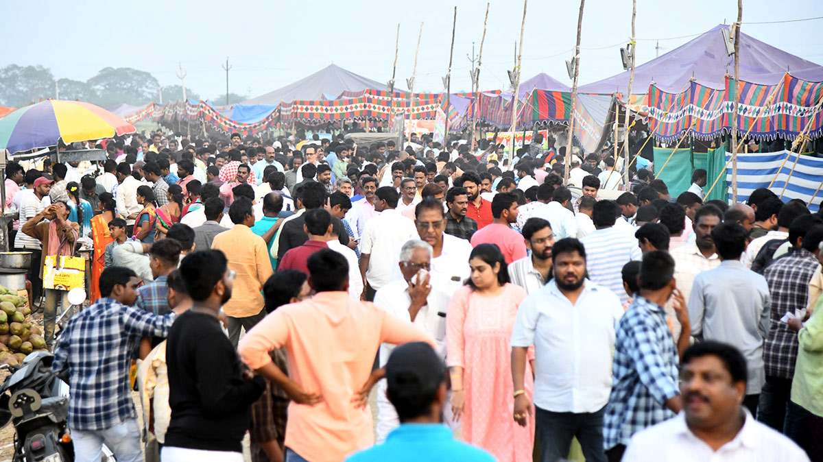 Sankranti kodi pandalu In AP - Sakshi18