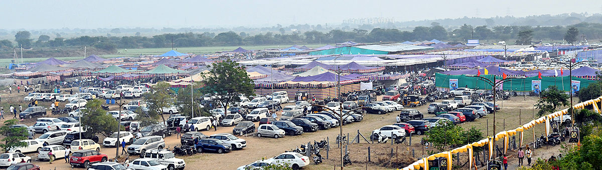 Sankranti kodi pandalu In AP - Sakshi19