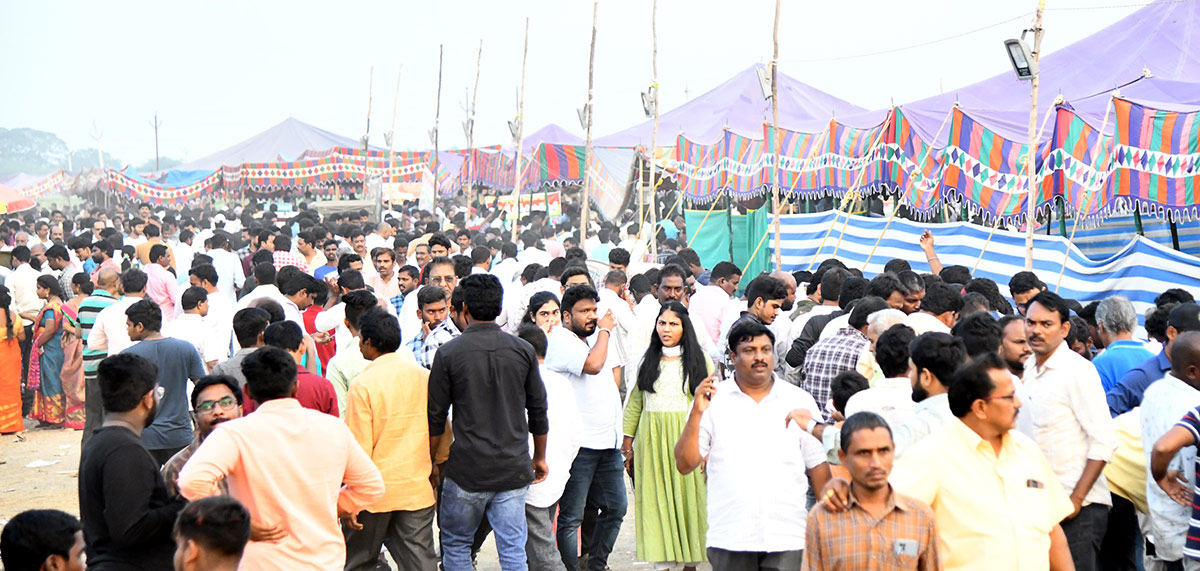 Sankranti kodi pandalu In AP - Sakshi5