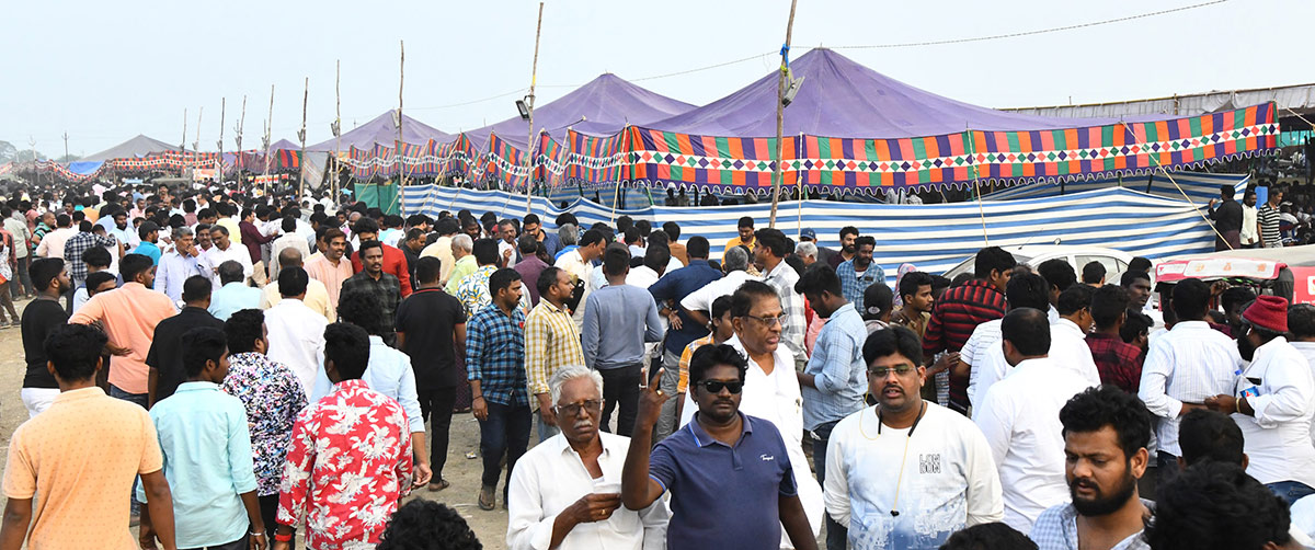 Sankranti kodi pandalu In AP - Sakshi8