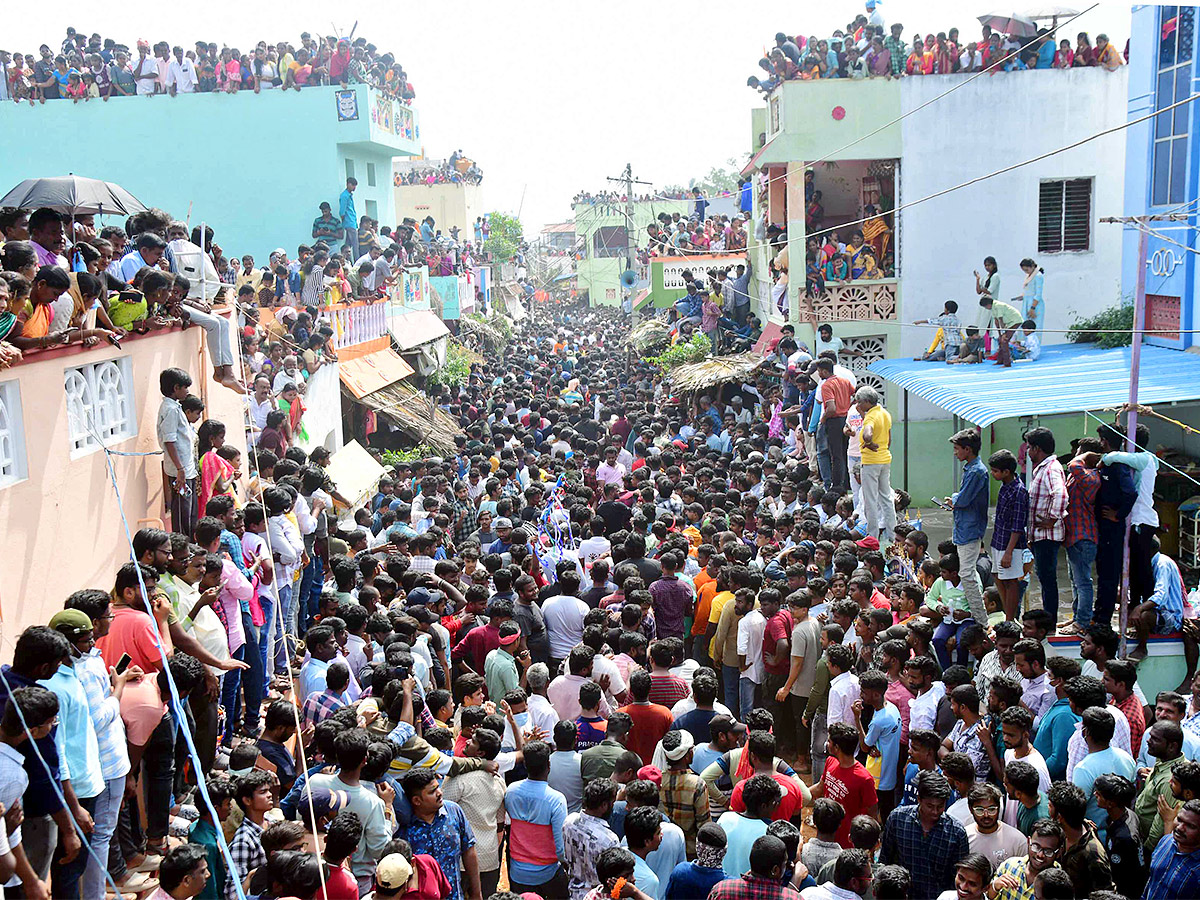 Tirupathi Rangampeta Bull Festival Jallikattu 2024 Photos Gallery Goes Viral - Sakshi11