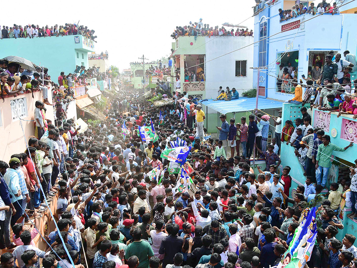 Tirupathi Rangampeta Bull Festival Jallikattu 2024 Photos Gallery Goes Viral - Sakshi19