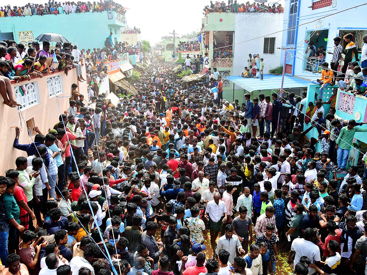 Tirupathi Rangampeta Bull Festival Jallikattu 2024 Photos Gallery Goes Viral - Sakshi2