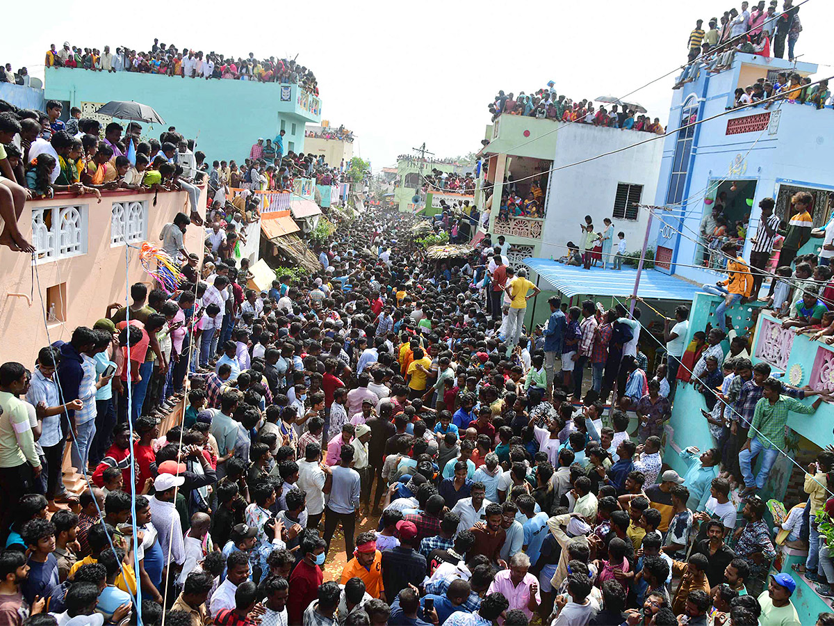 Tirupathi Rangampeta Bull Festival Jallikattu 2024 Photos Gallery Goes Viral - Sakshi30