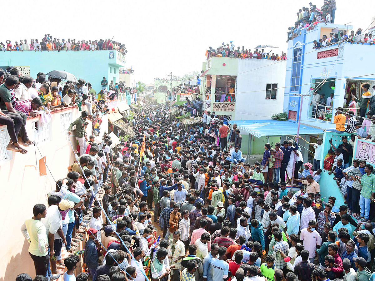 Tirupathi Rangampeta Bull Festival Jallikattu 2024 Photos Gallery Goes Viral - Sakshi7