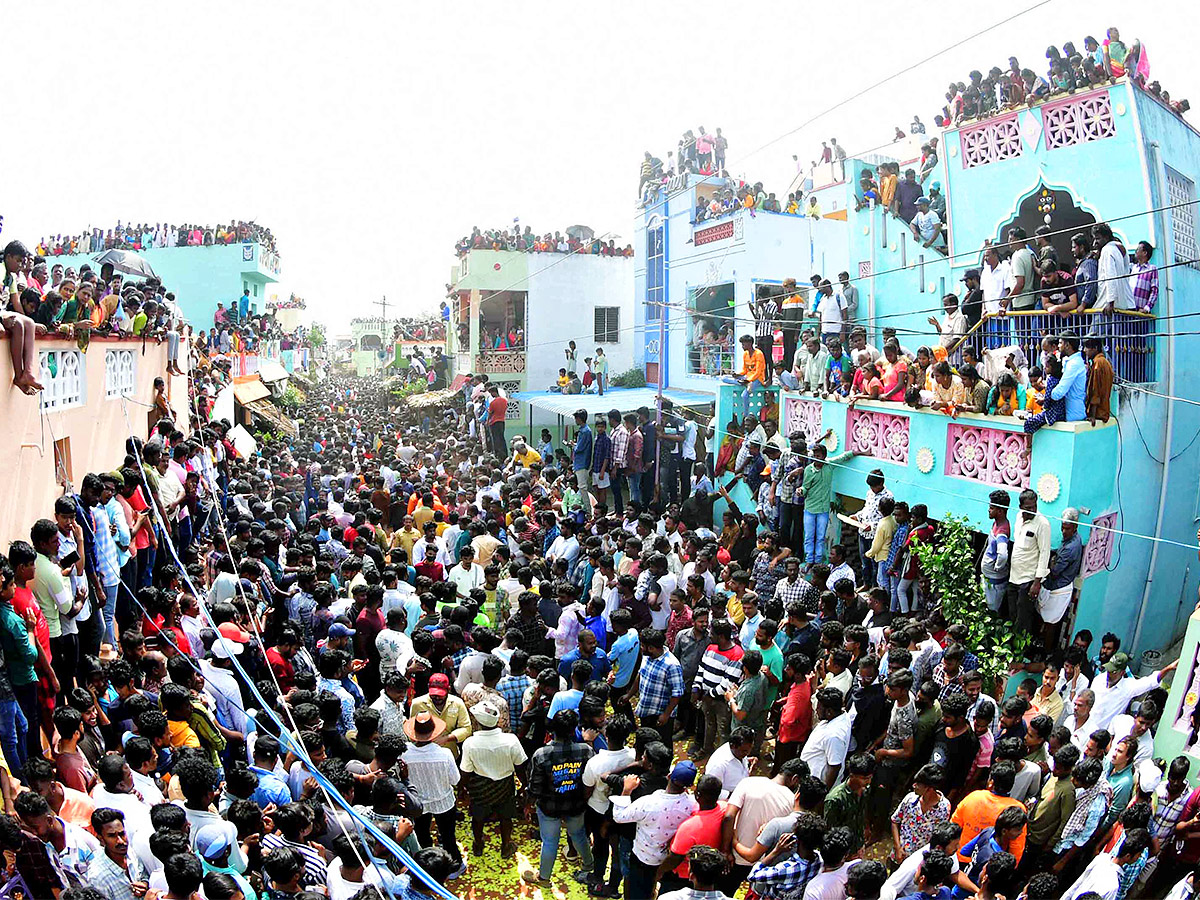 Tirupathi Rangampeta Bull Festival Jallikattu 2024 Photos Gallery Goes Viral - Sakshi9