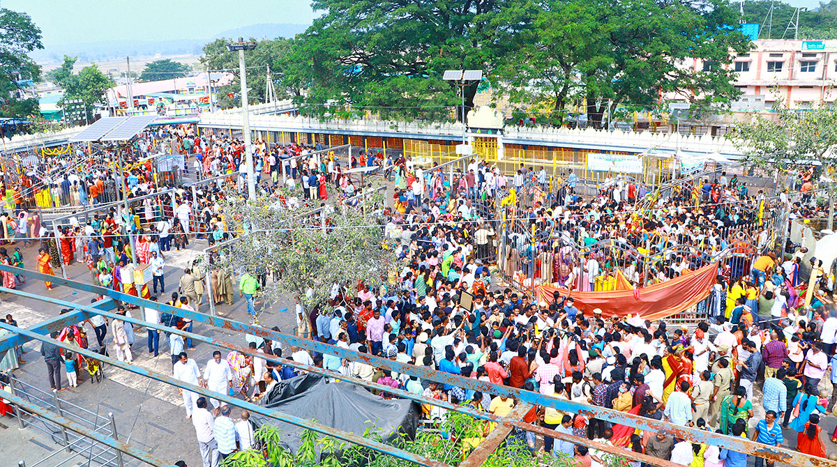 medaram Sammakka Saralamma jatara 2024 photo - Sakshi15