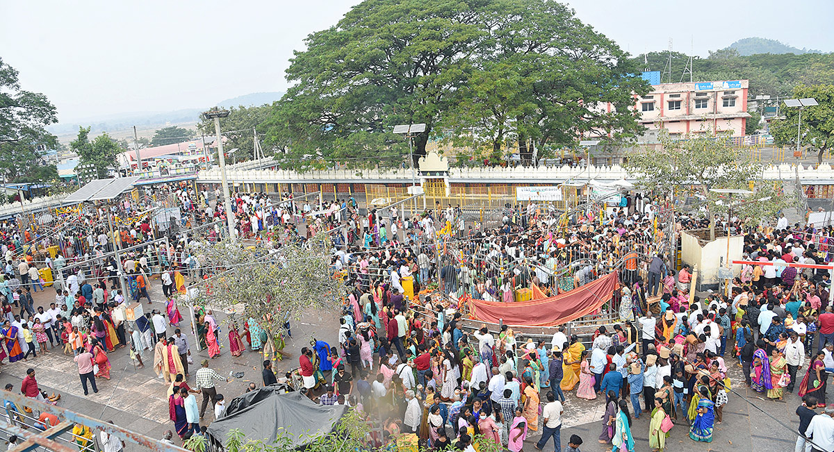 medaram Sammakka Saralamma jatara 2024 photo - Sakshi3