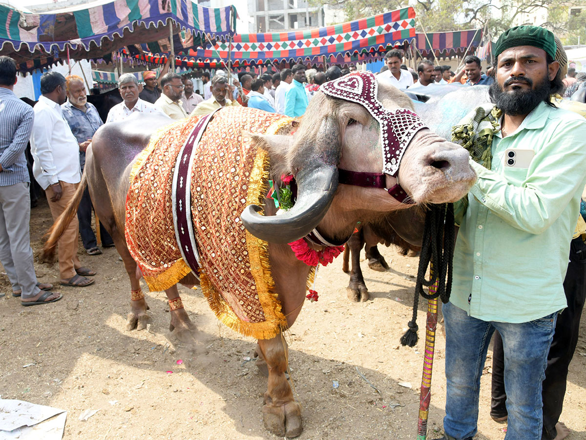 Animal Fest Pashu Sankranthi in Narsingi at Hyderabad - Sakshi10