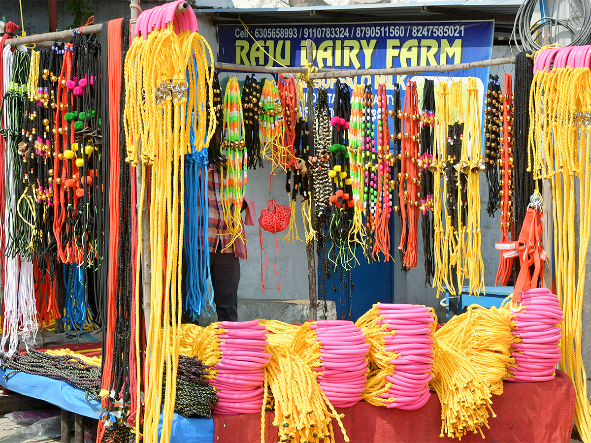 Animal Fest Pashu Sankranthi in Narsingi at Hyderabad - Sakshi26