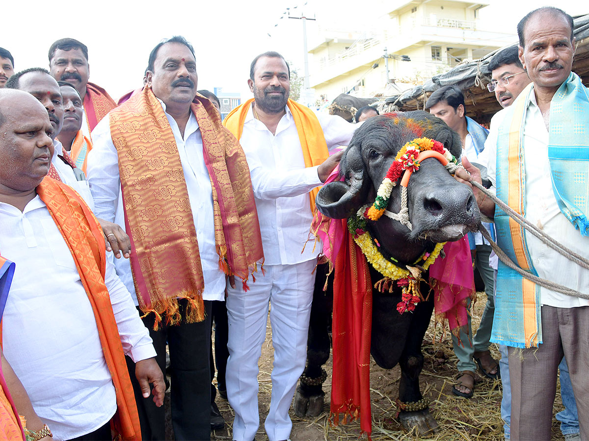 Animal Fest Pashu Sankranthi in Narsingi at Hyderabad - Sakshi4