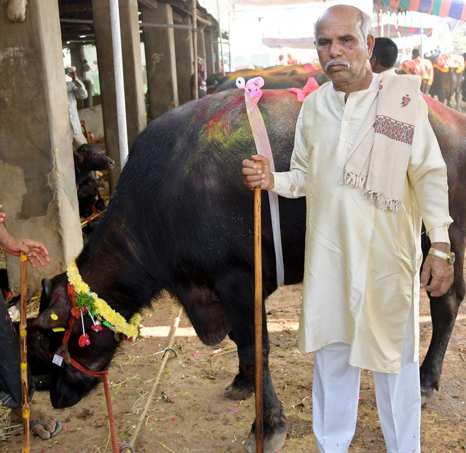 Animal Fest Pashu Sankranthi in Narsingi at Hyderabad - Sakshi41