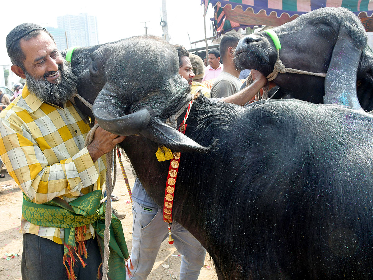 Animal Fest Pashu Sankranthi in Narsingi at Hyderabad - Sakshi44