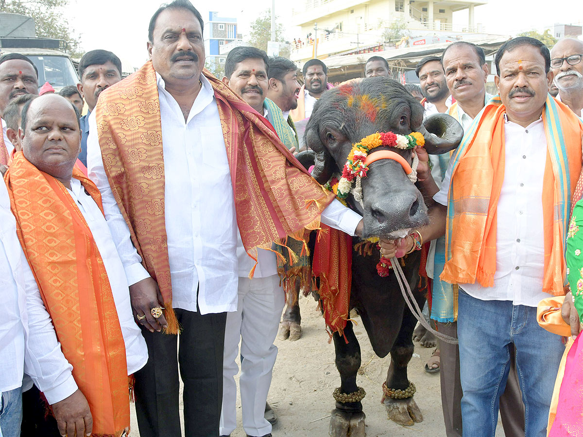 Animal Fest Pashu Sankranthi in Narsingi at Hyderabad - Sakshi48