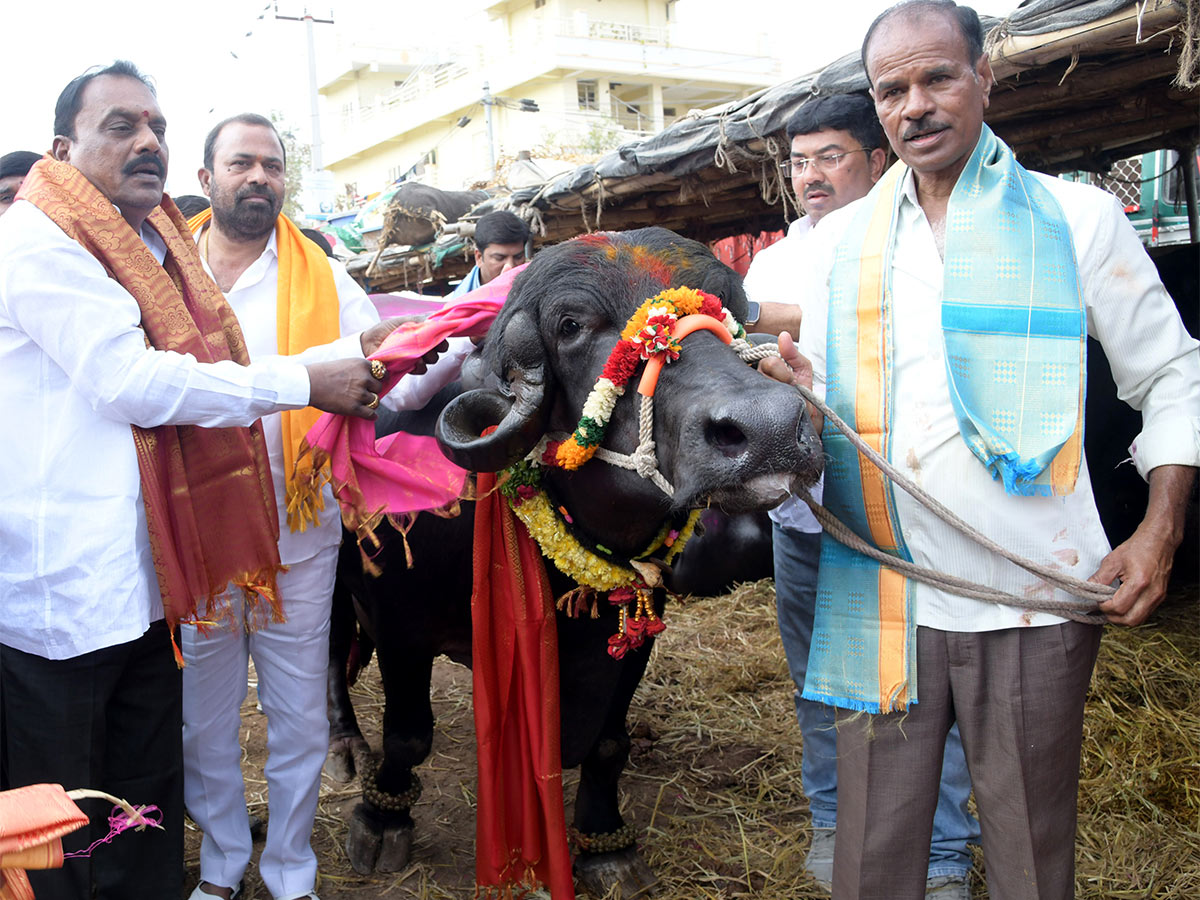 Animal Fest Pashu Sankranthi in Narsingi at Hyderabad - Sakshi50