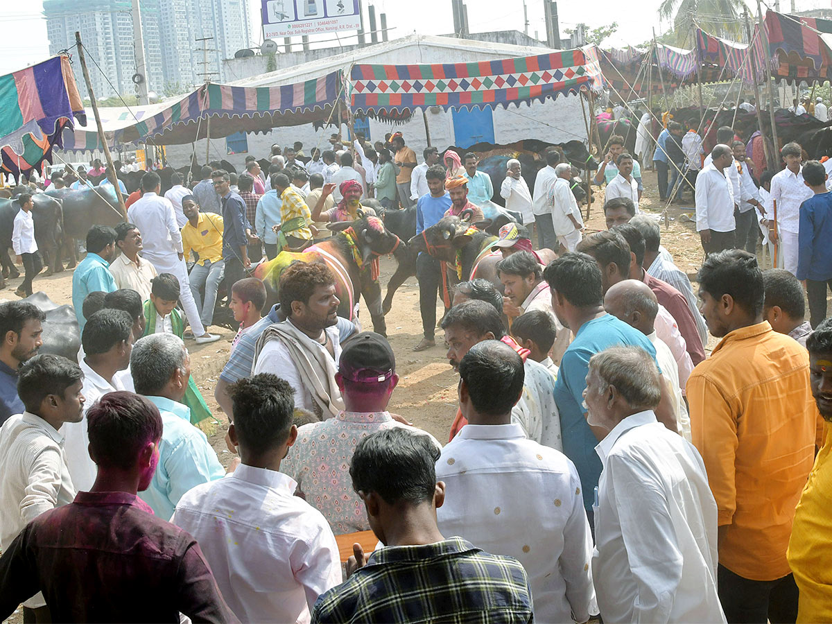 Animal Fest Pashu Sankranthi in Narsingi at Hyderabad - Sakshi52