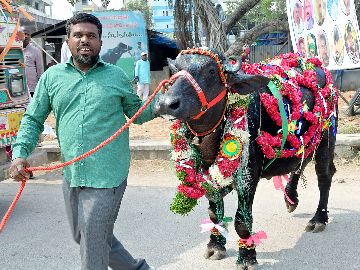 Animal Fest Pashu Sankranthi in Narsingi at Hyderabad - Sakshi8