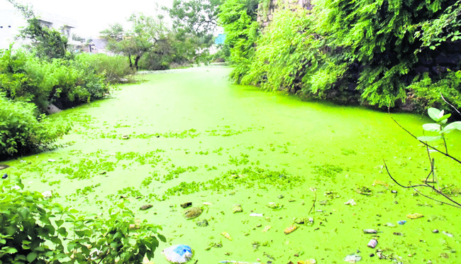 నెలక్రితం నీటితో నిండుగా కందకం1