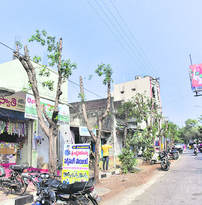 కరీంనగర్‌ రోడ్‌లో నరికివేసిన చెట్లు 1