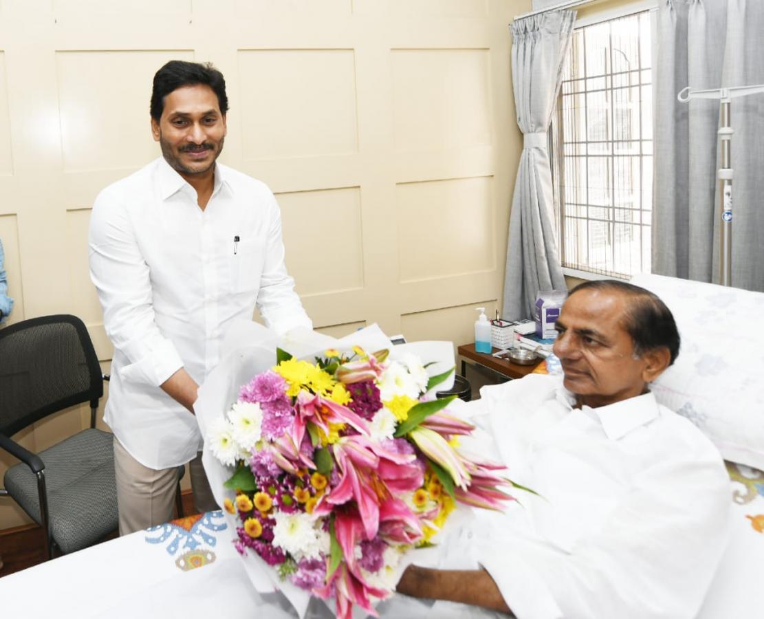 AP CM YS Jagan Meets BRS Chief KCR At Hyderabad - Sakshi13