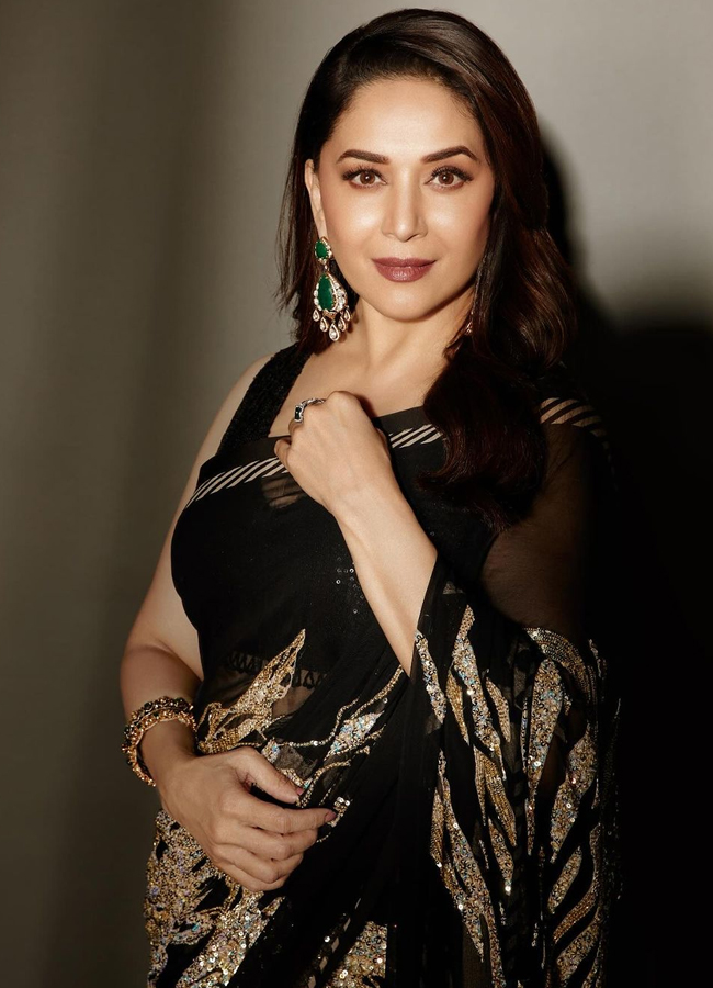 Madhuri Dixits Love For Glittery Outfit - Sakshi11