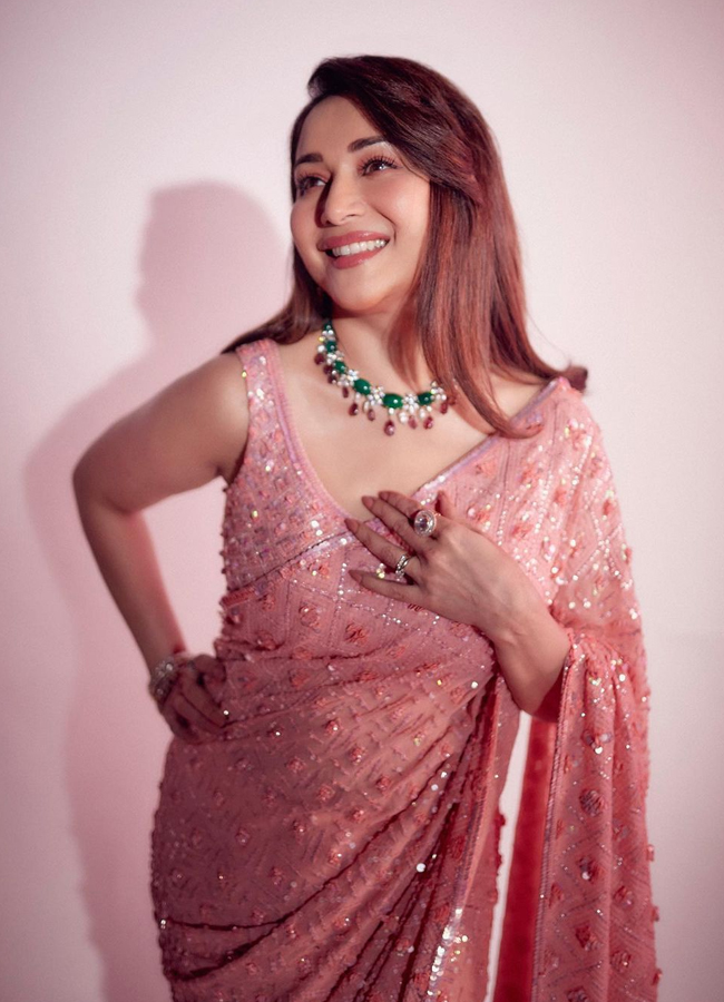 Madhuri Dixits Love For Glittery Outfit - Sakshi14