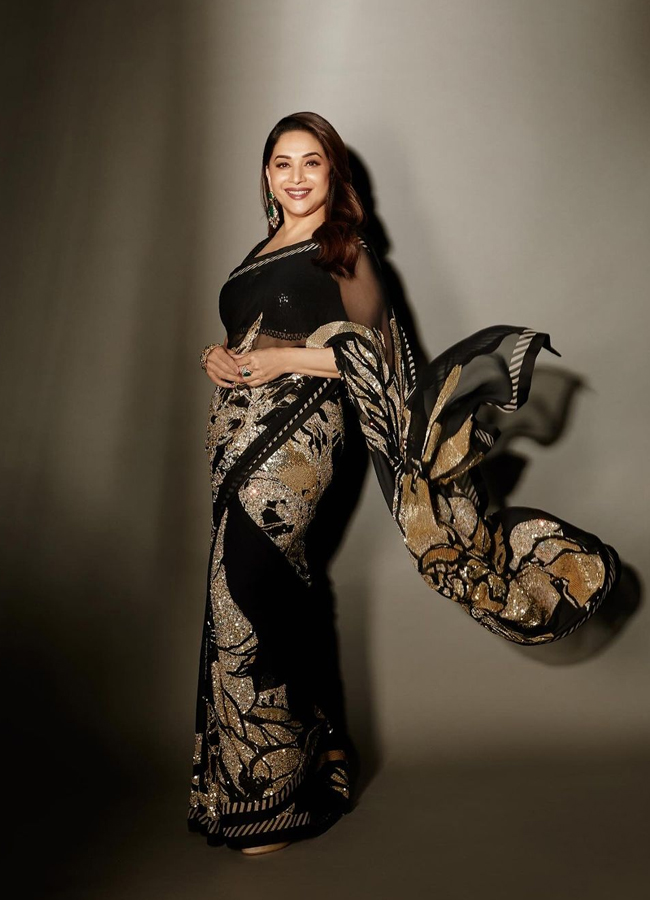 Madhuri Dixits Love For Glittery Outfit - Sakshi10